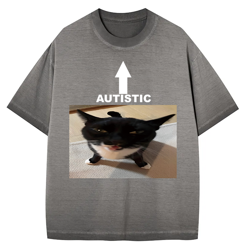 Tokyocanvas Autistic Cat Gradient Washed T-Shirt