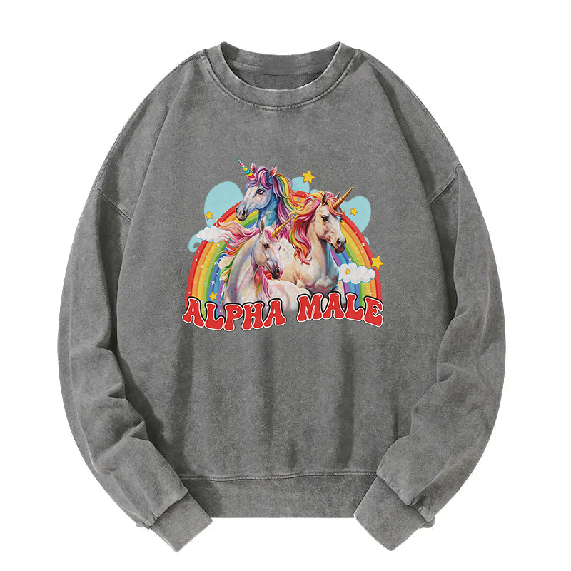 Tokyocanvas Alpha Male Unicorn Washed Sweatshirt