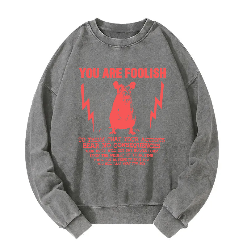 Tokyocanvas You Are Foolish Rat Meme Washed Sweatshirt