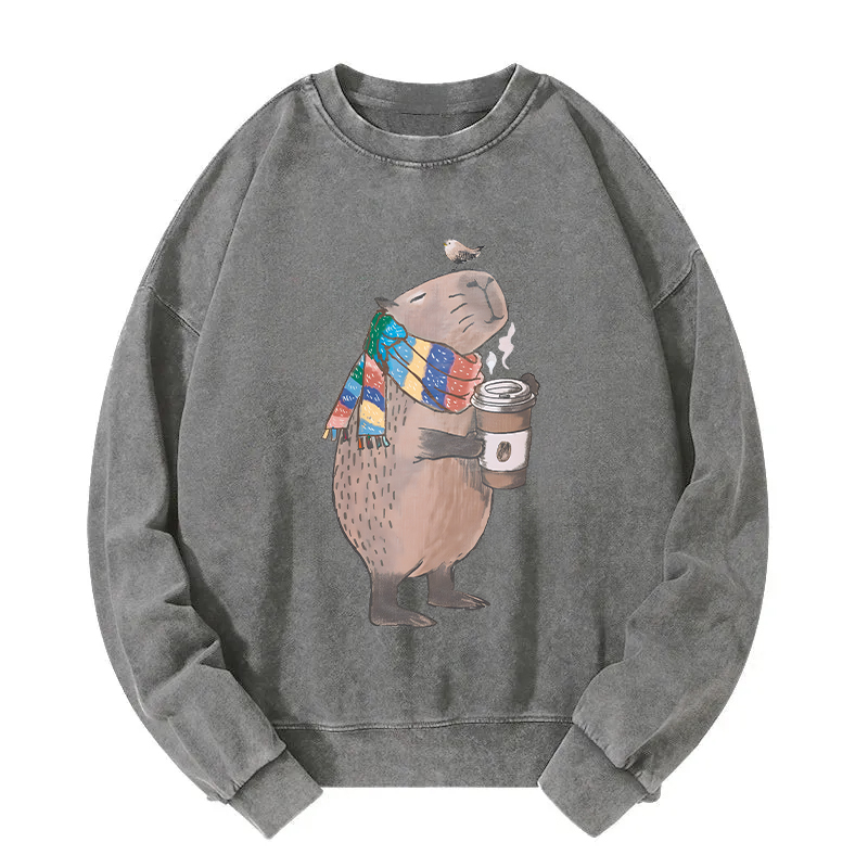 Tokyocanvas Coffeebara Washed Sweatshirt