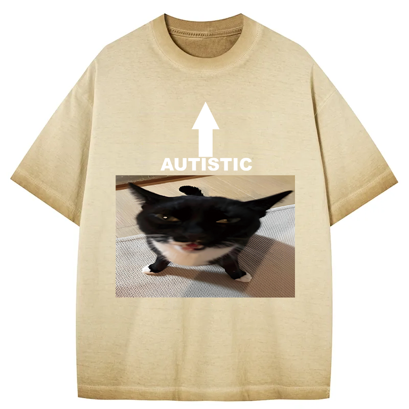 Tokyocanvas Autistic Cat Gradient Washed T-Shirt