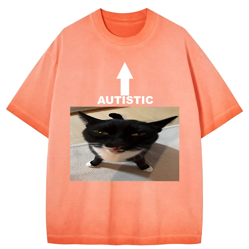 Tokyocanvas Autistic Cat Gradient Washed T-Shirt