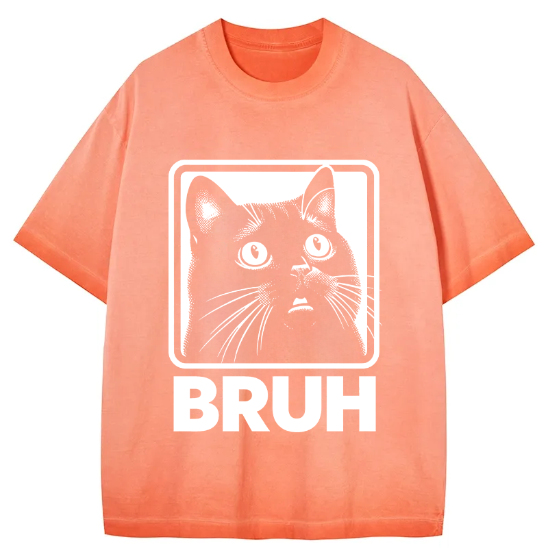 Tokyocanvas BRUH Cat Gradient Washed T-Shirt