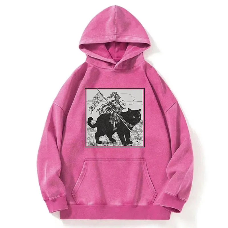 Tokyocanvas Renaissance Fair Knight Cat Rider Washed Hoodie