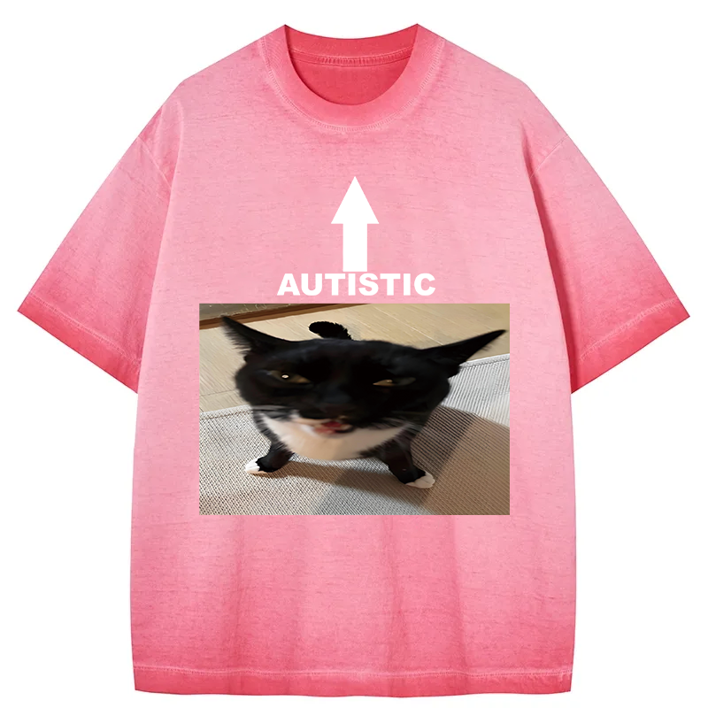 Tokyocanvas Autistic Cat Gradient Washed T-Shirt