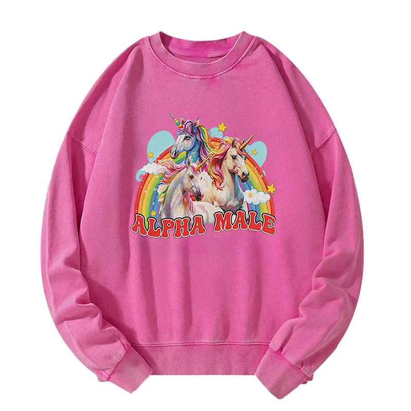 Tokyocanvas Alpha Male Unicorn Washed Sweatshirt