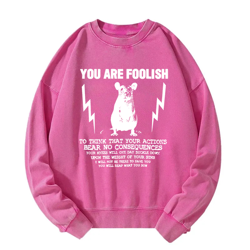 Tokyocanvas You Are Foolish Rat Meme Washed Sweatshirt
