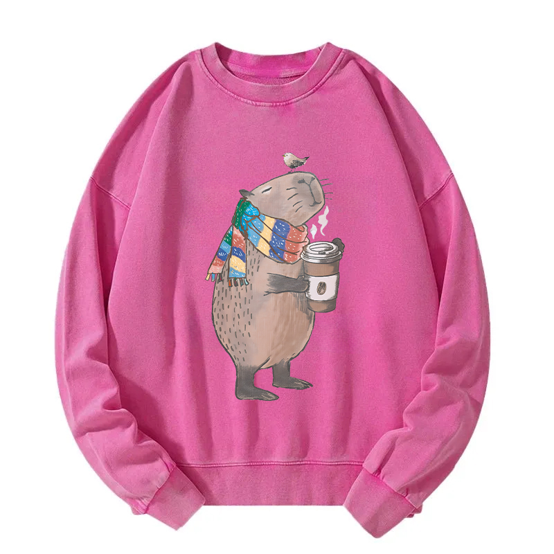 Tokyocanvas Coffeebara Washed Sweatshirt