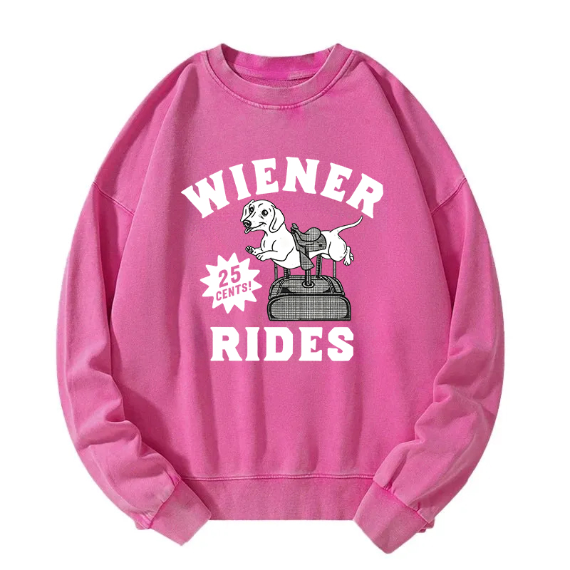 Tokyocanvas Wiener Rides Funny Dog Washed Sweatshirt