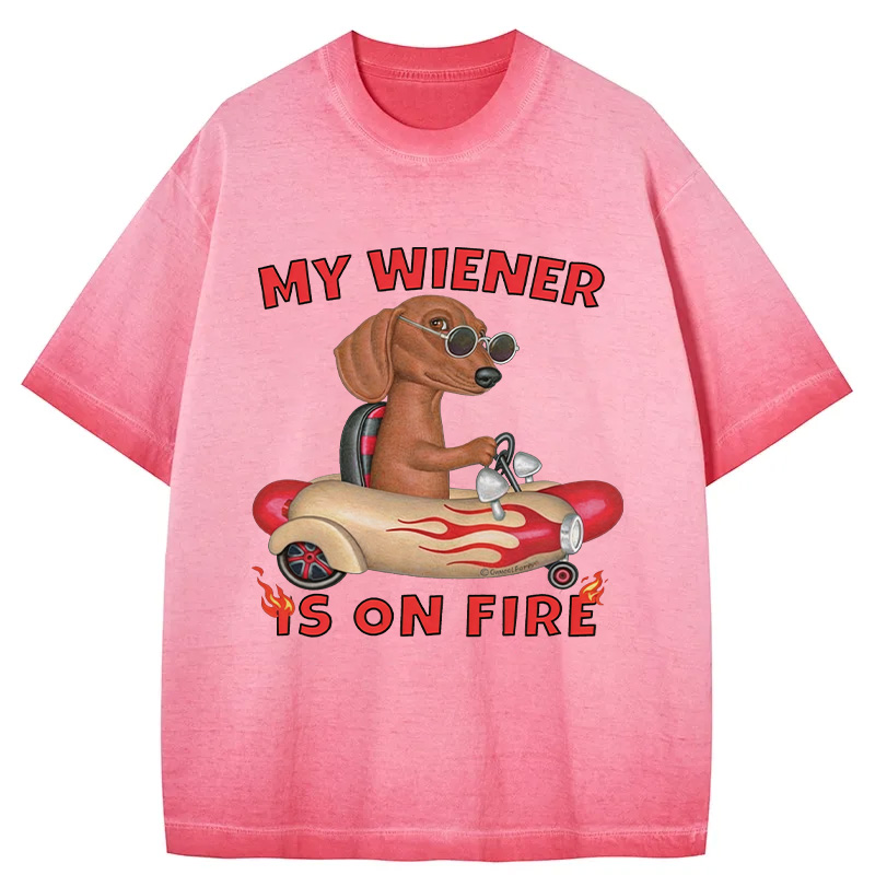 Tokyocanvas My Wiener Is On Fire Funny Dog Gradient Washed T-Shirt