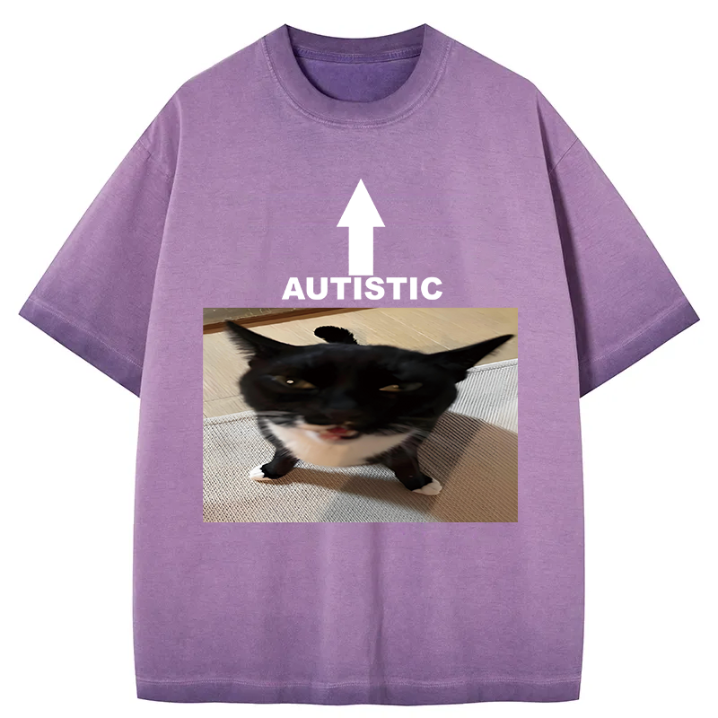 Tokyocanvas Autistic Cat Gradient Washed T-Shirt