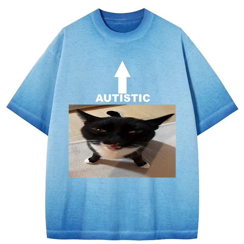 Tokyocanvas Autistic Cat Gradient Washed T-Shirt