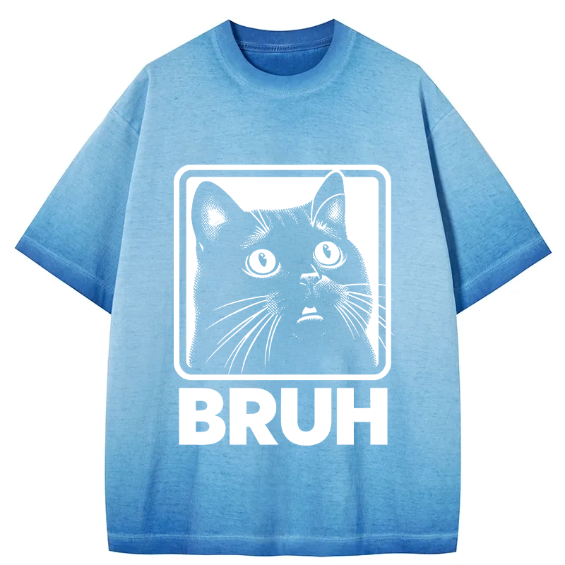Tokyocanvas BRUH Cat Gradient Washed T-Shirt