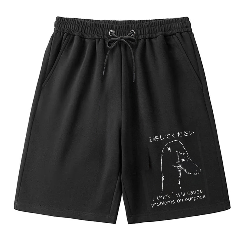 Tokyocanvas Stupid Goose Funny Classic Shorts