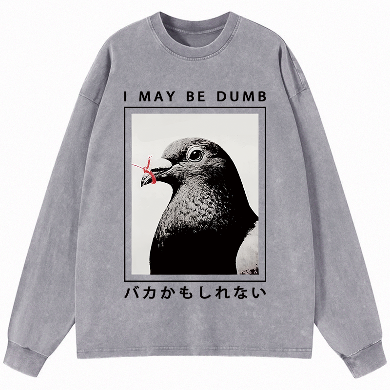Tokyocanvas I May Be Dumb Funny Long Sleeve Washed T-Shirt