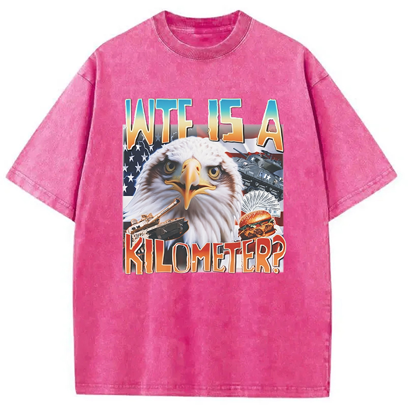 Tokyocanvas Funny America Freedom Eagle Meme Washed T-Shirt