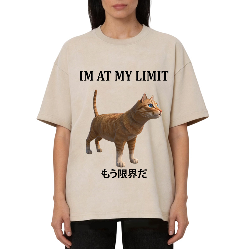 Tokyocanvas Poly Cat At My Limit Washed T-Shirt
