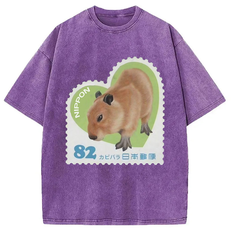 Tokyocanvas Japanese Capybara Washed T-Shirt