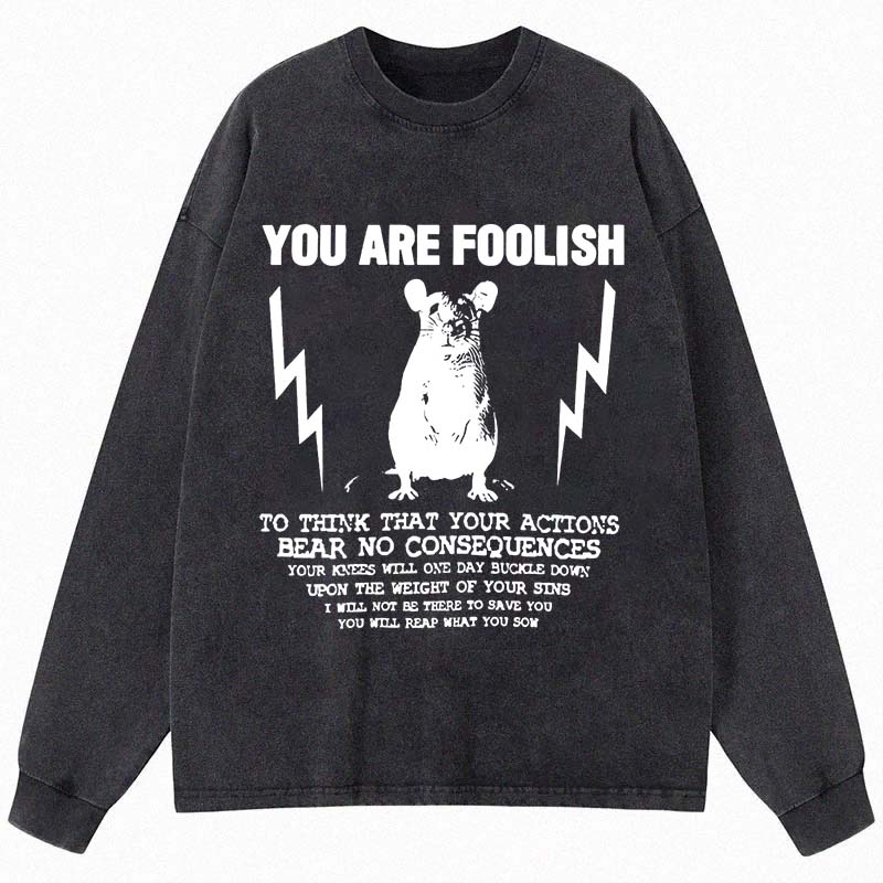 Tokyocanvas You Are Foolish Rat Meme Long Sleeve Washed T-Shirt