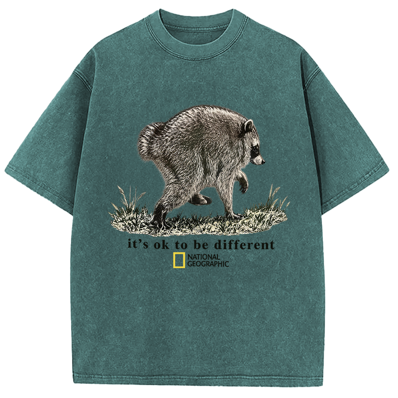 Tokyocanvas It’s OK to be Different Washed T-Shirt