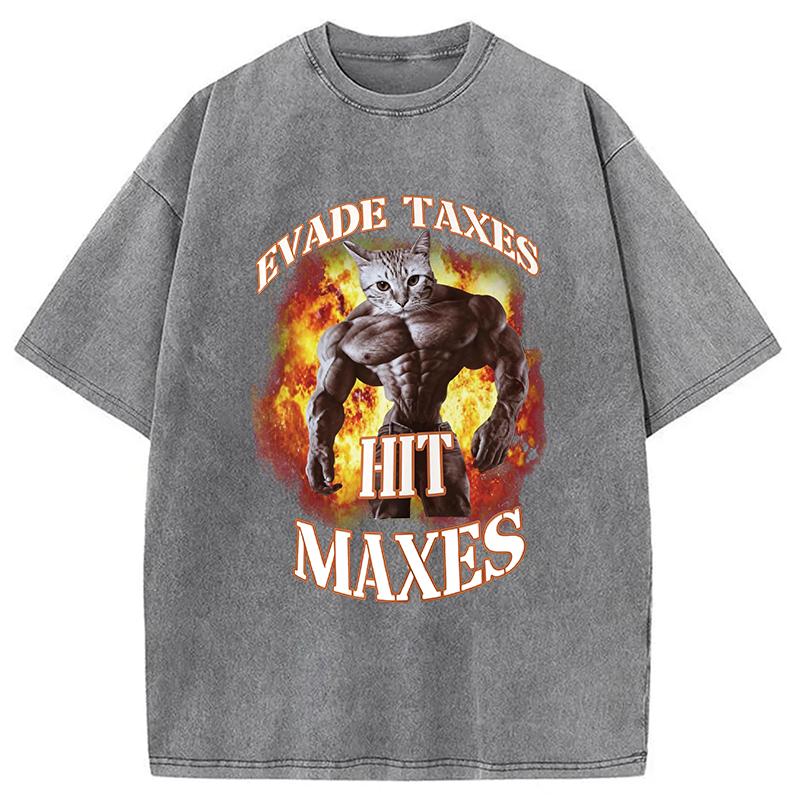 Tokyocanvas Evade Taxes Hit Maxes Cat Gym Meme Washed T-Shirt