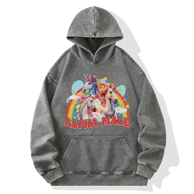 Tokyocanvas Alpha Male Unicorn Washed Hoodie