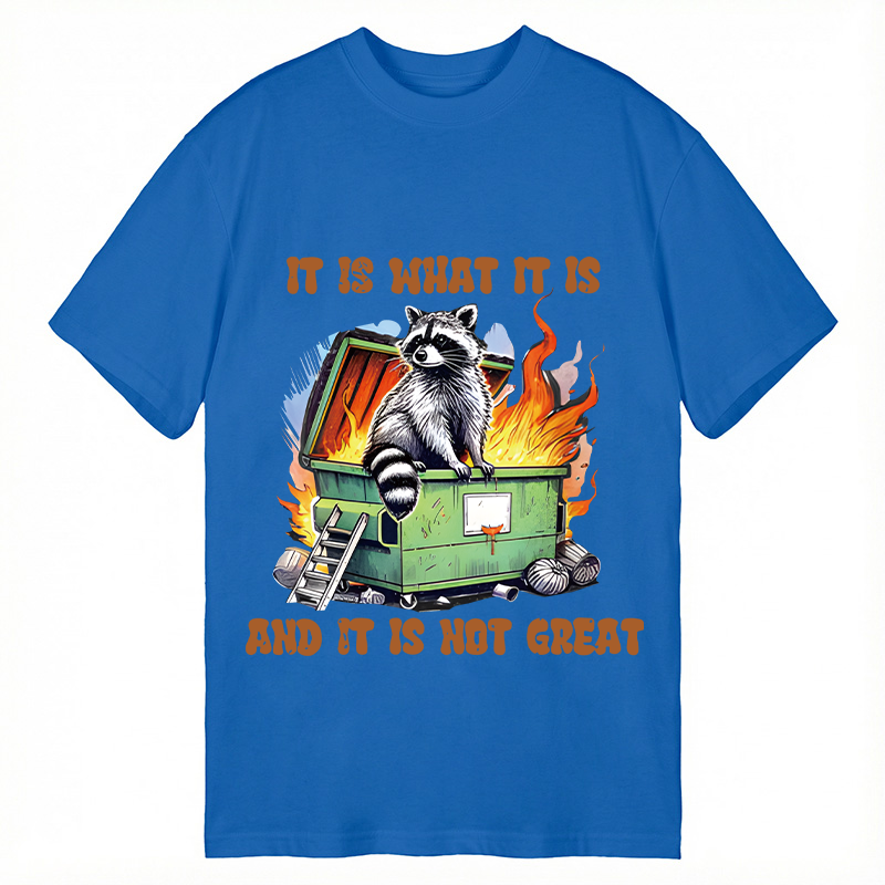Tokyocanvas It is What Not Great Raccoon Meme Classic T-Shirt