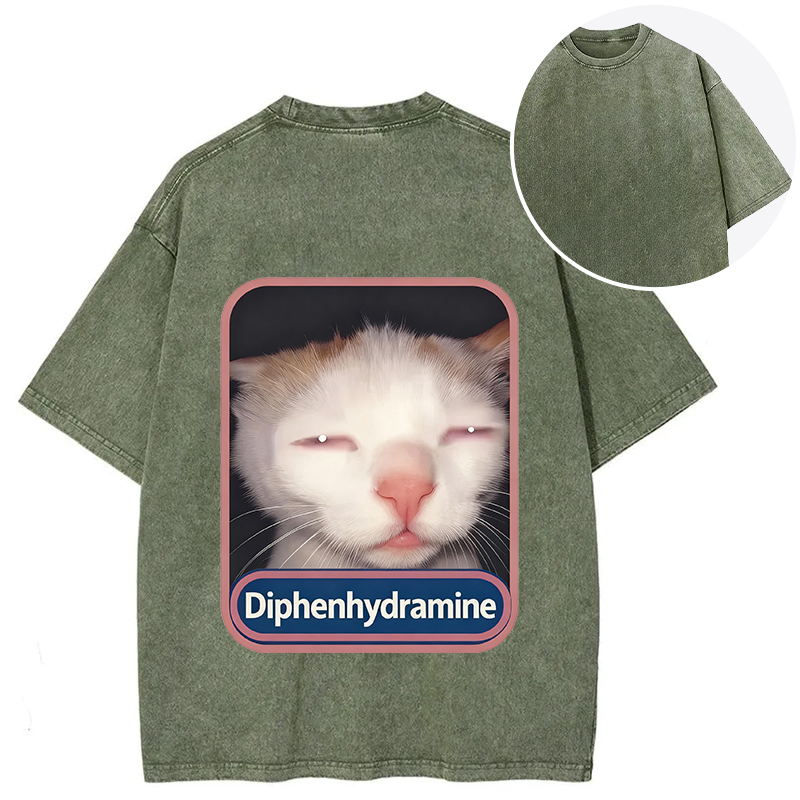 Tokyocanvas Funny Cat Meme Back Washed T-Shirt