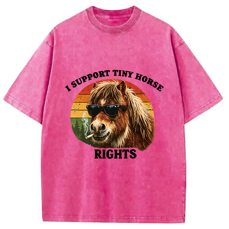 Tokyocanvas Frog Wizard Riding A Horse Washed T-Shirt