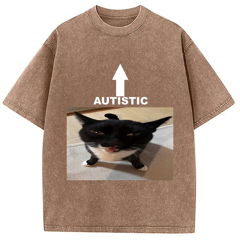 Tokyocanvas Autistic Cat Washed T-Shirt