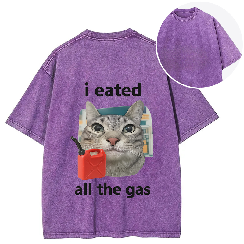 Tokyocanvas I Eated All The Gas Cat Funny Back Washed T-Shirt
