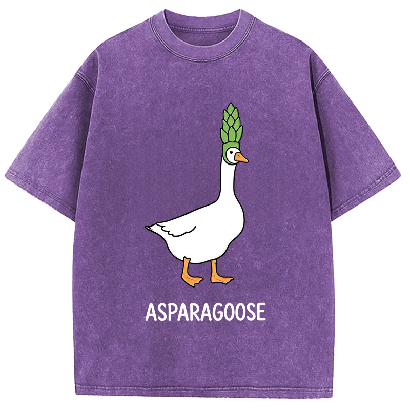 Tokyocanvas Asparagoose Washed T-Shirt