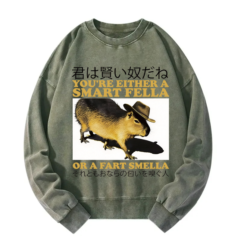 Tokyocanvas Smart Fella Fart Smella Capybara Washed Sweatshirt