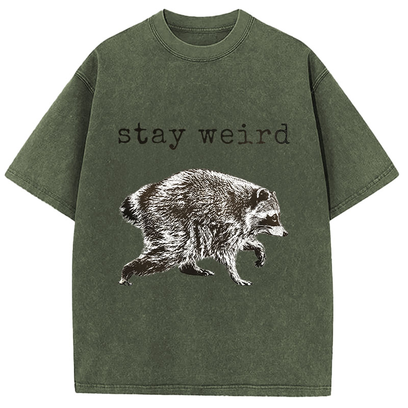 Tokyocanvas Stay Weird Funny Washed T-Shirt