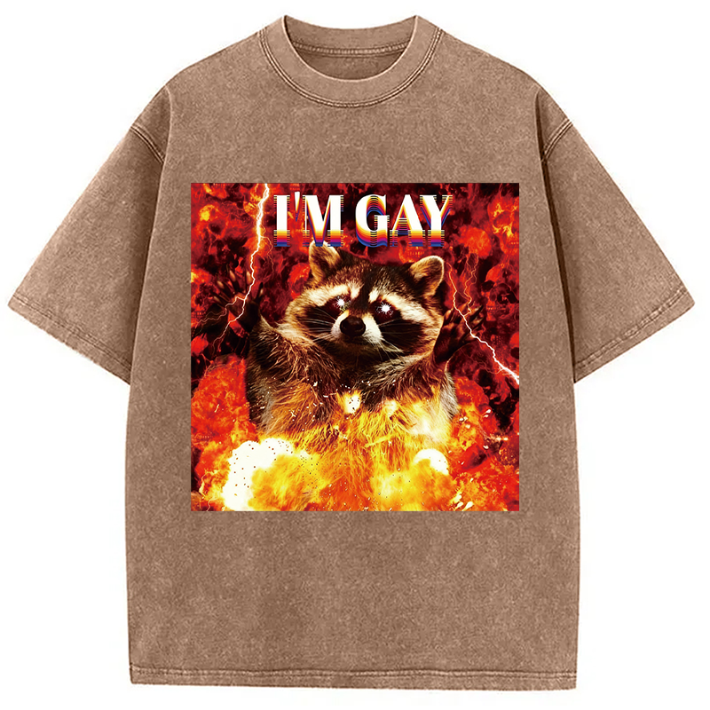 Tokyocanvas I'm Gay Washed T-Shirt