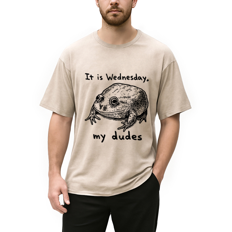 Tokyocanvas Wednesday Frog Vintage Washed T-Shirt