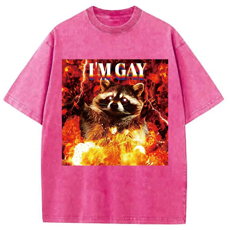 Tokyocanvas I'm Gay Washed T-Shirt