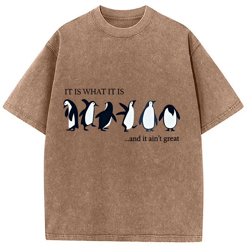 Tokyocanvas Funny Penguin Washed T-Shirt