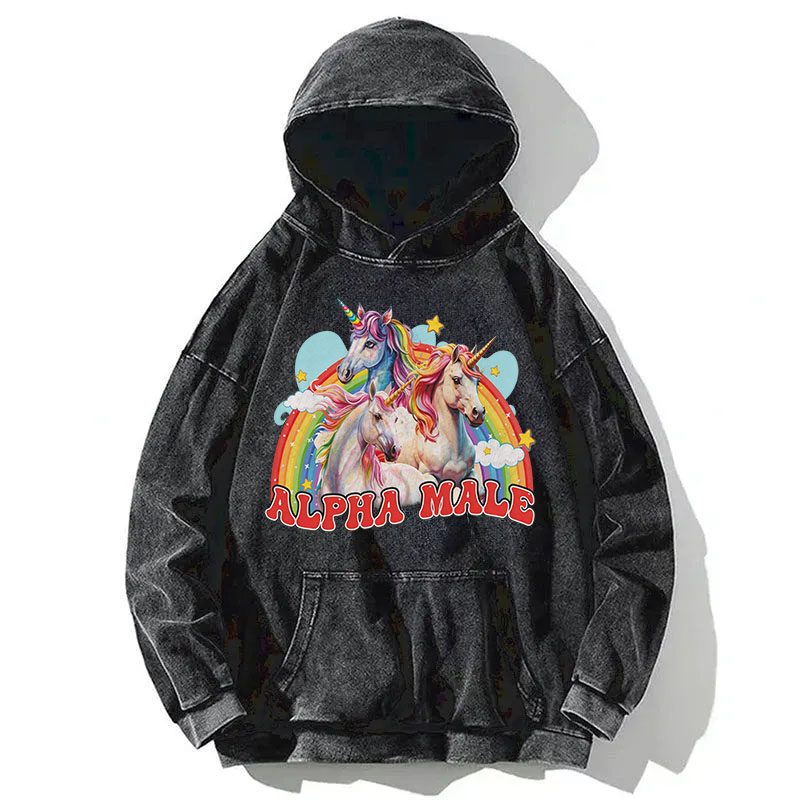 Tokyocanvas Alpha Male Unicorn Washed Hoodie