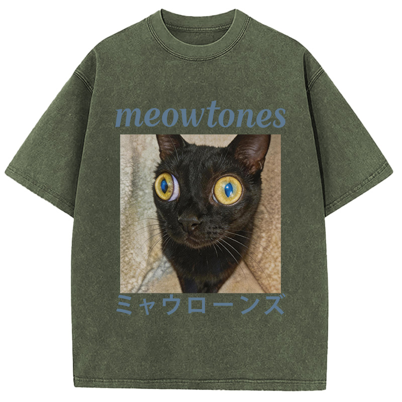 Tokyocanvas Meowlones Washed T-Shirt