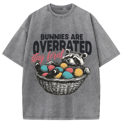 Tokyocanvas Funny Easter Raccoon Washed T-Shirt