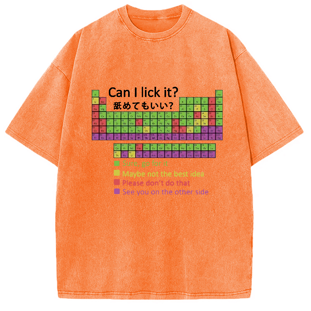 Tokyocanvas Can I Lick It Washed T-Shirt