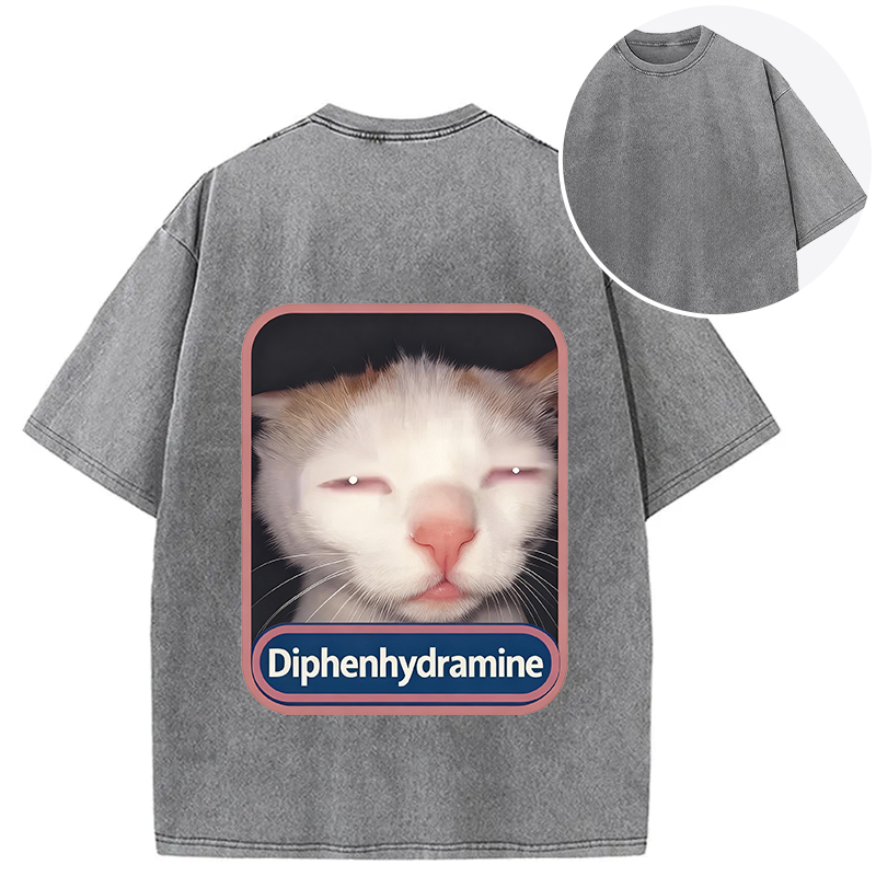 Tokyocanvas Funny Cat Meme Back Washed T-Shirt