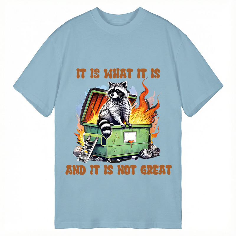 Tokyocanvas It is What Not Great Raccoon Meme Classic T-Shirt