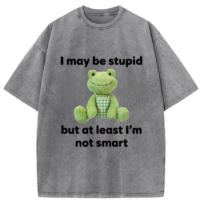 Tokyocanvas I May Be Stupid Alcohol Lover Washed T-Shirt