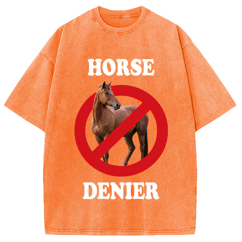 Tokyocanvas Horse Denier Meme Washed T-Shirt