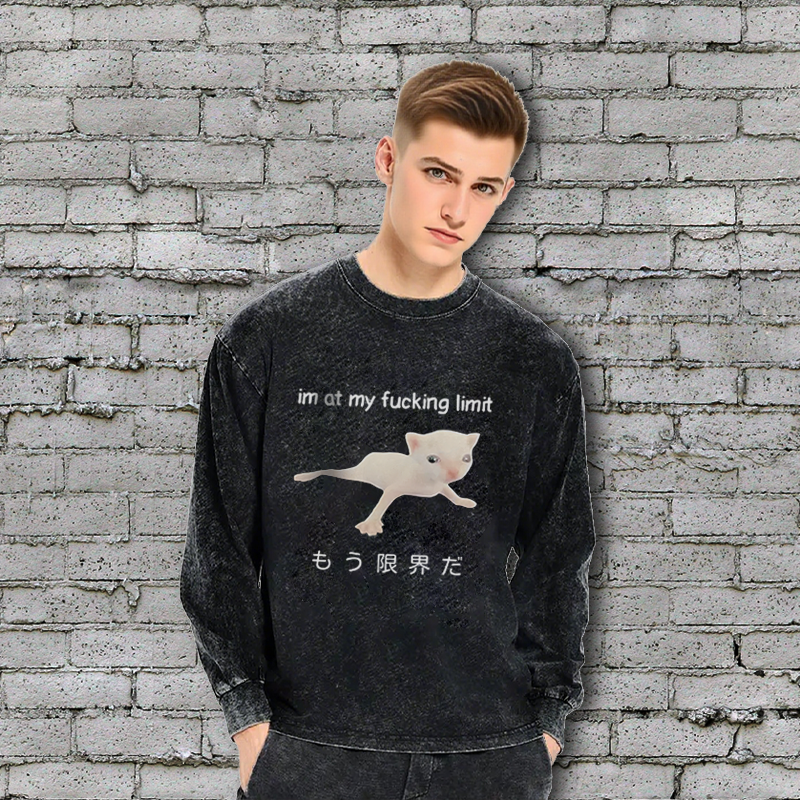 Long Sleeve Washed T-shirt