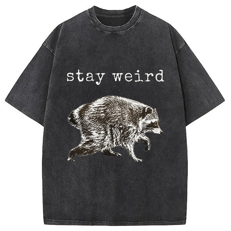 Tokyocanvas Stay Weird Funny Washed T-Shirt