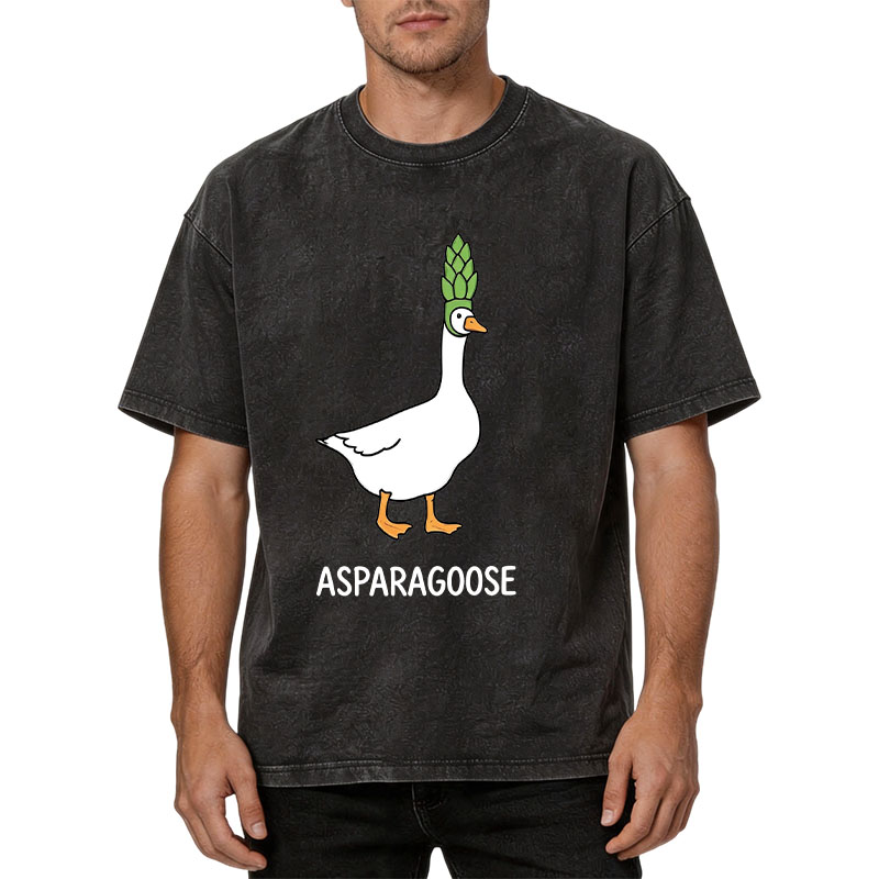 Tokyocanvas Asparagoose Washed T-Shirt