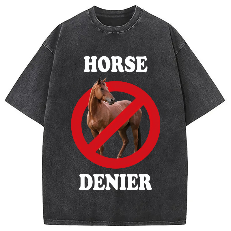 Tokyocanvas Horse Denier Meme Washed T-Shirt